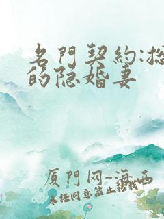 名门契约:总裁的隐婚妻