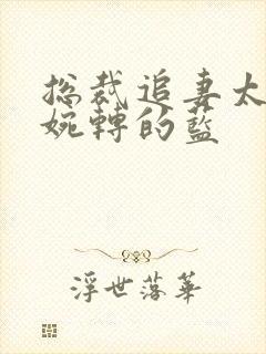 总裁追妻太强悍婉转的蓝