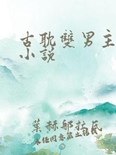 古耽双男主生子小说