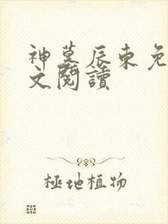 神墓辰东免费全文阅读