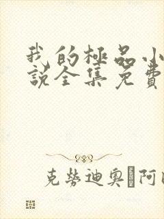 我的极品小姨小说全集免费阅读