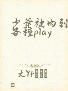 少爷被肉到失禁各种play