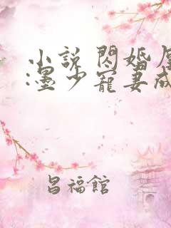 小说 闪婚厚爱:墨少宠妻成瘾