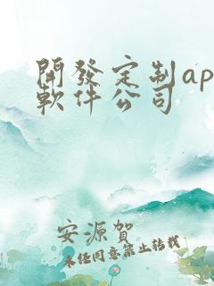 开发定制app软件公司