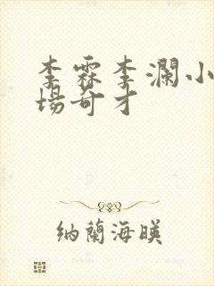 李霖李澜小说官场奇才