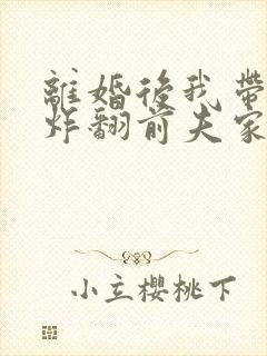 离婚后我带四崽炸翻前夫家