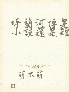 呼兰河传是长篇小说还是短篇小说