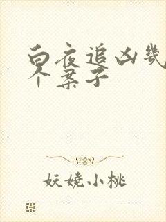 白夜追凶几集一个案子