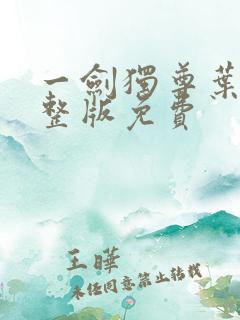 一剑独尊叶玄完整版免费