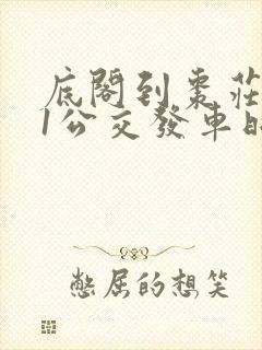 底阁到枣庄201公交发车时间表