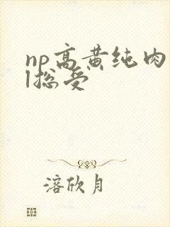 np高黄纯肉bl总受