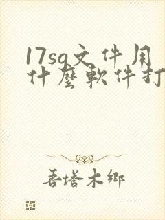 17sg文件用什么软件打开