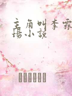 主角叫李霖的官场小说