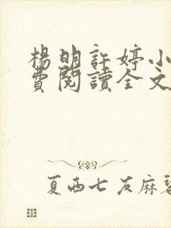 杨明许婷小说免费阅读全文最新章节