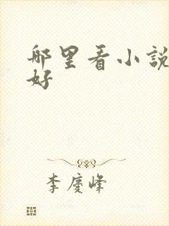 哪里看小说比较好