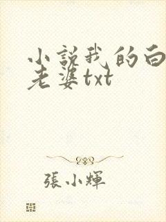 小说我的白富美老婆txt