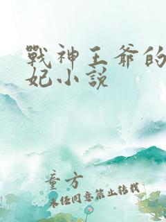 战神王爷的小医妃小说