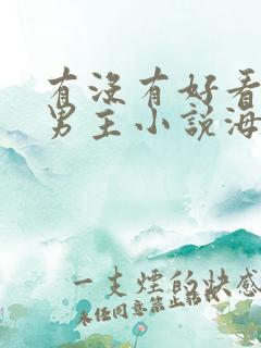 有没有好看的双男主小说海棠文