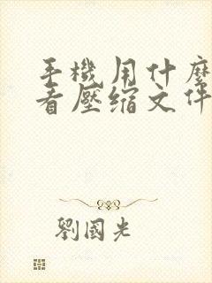 手机用什么软件看压缩文件