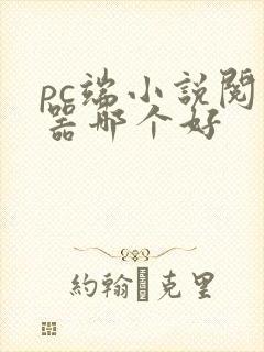 pc端小说阅读器哪个好