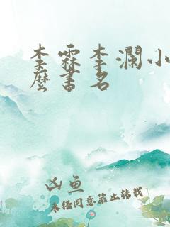 李霖李澜小说什么书名