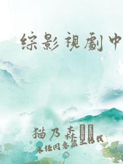 综影视剧中人