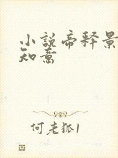 小说帝释景,南知意