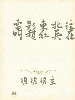 电影东北往事我叫赵红兵在线播放