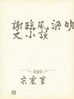 谢临风梁明昭全文小说