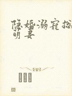 隐婚溺宠总裁的萌妻