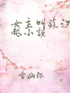 女主叫苏汐的穿越小说