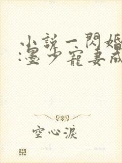 小说一闪婚厚爱:墨少宠妻成瘾