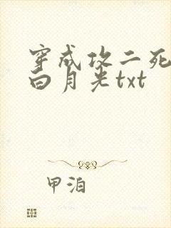 穿成攻二死了的白月光txt