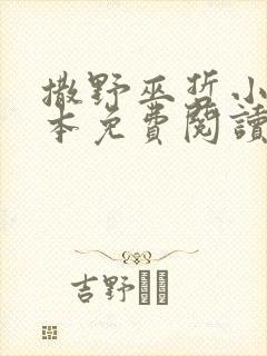 撒野巫哲小说全本免费阅读