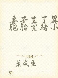 妻子生了异父双胞胎完结小说