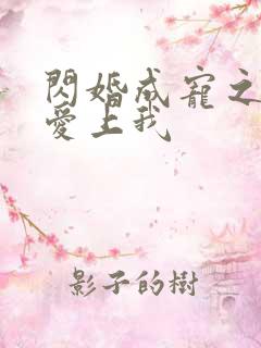 闪婚成宠之大佬爱上我