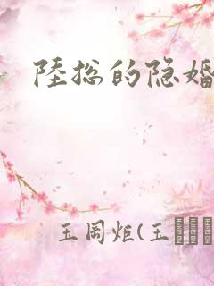 陆总的隐婚娇妻