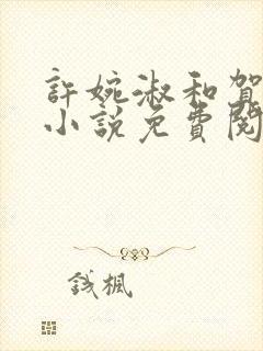 许婉淑和贺承安小说免费阅读