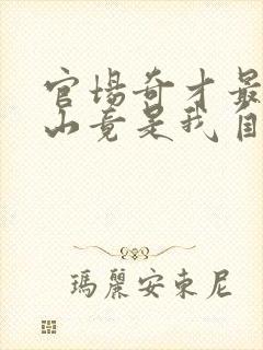 官场奇才最强靠山竟是我自己李霖叫什么名