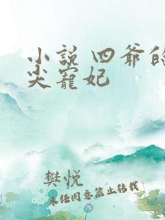 小说 四爷的心尖宠妃