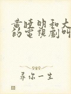 黄晓明和大s演的电视剧叫什么名字