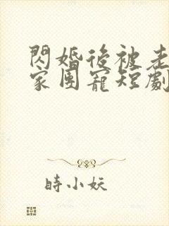闪婚后被老公全家团宠短剧全集完整版
