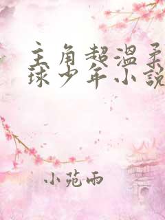 主角超温柔的排球少年小说