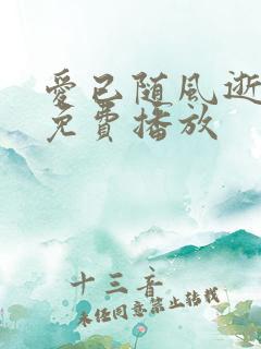 爱已随风逝短剧免费播放