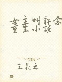 女主叫许念初的重生小说