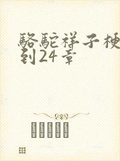 骆驼祥子梗概1到24章
