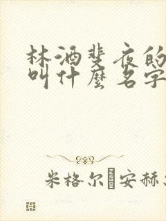 林酒斐夜的小说叫什么名字
