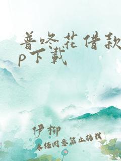 普咚花借款app下载