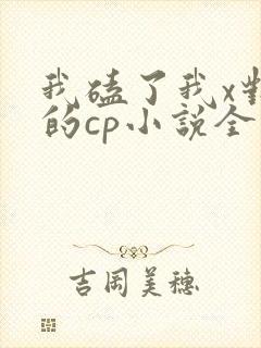 我磕了我x对家的cp小说全文