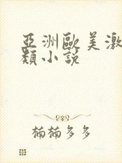 亚洲欧美激情另类小说